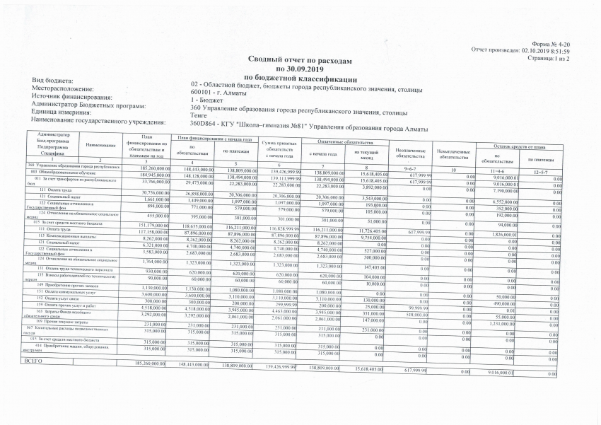 Сводный отчет по расходам