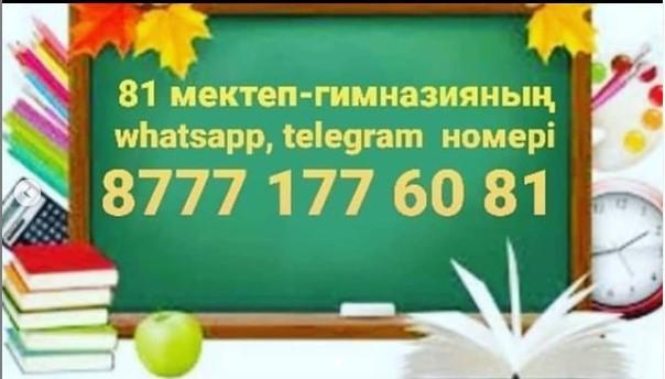 №81 мектеп-гимназияның байланыс номері