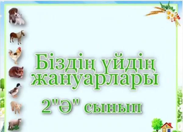 "БІЗДІҢ ҮЙДІҢ ЖАНУАРЛАРЫ" тақырыбындағы сурет көрмесі