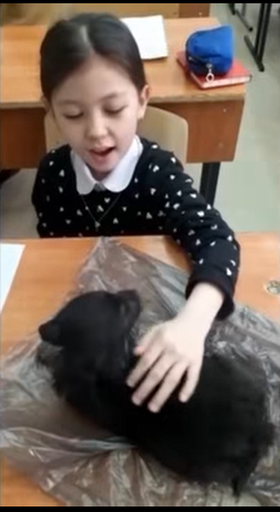 “Читающая собака” әдісі